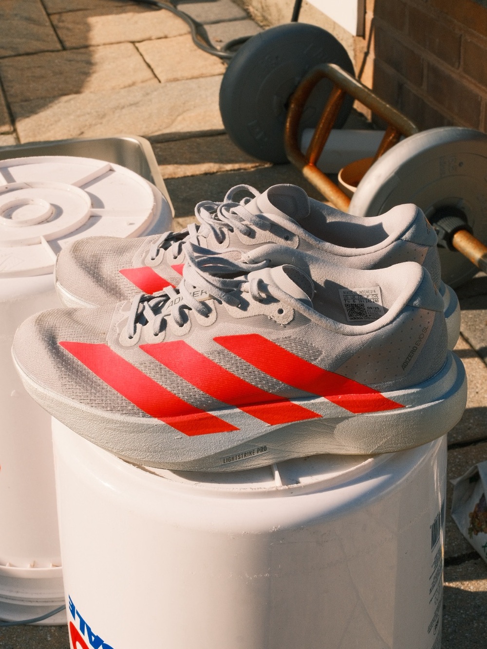 Adidas Adizero SL Evo